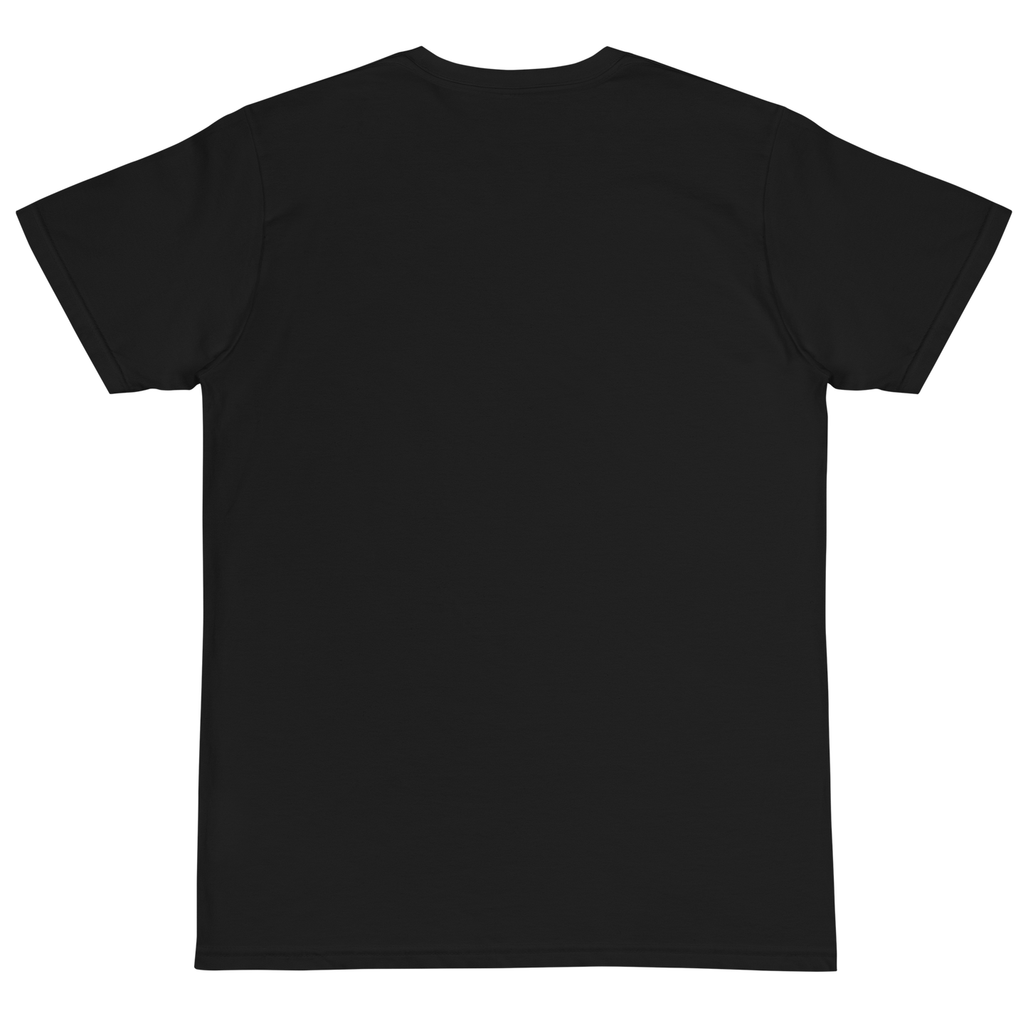 Plain Fitz Crow Tee